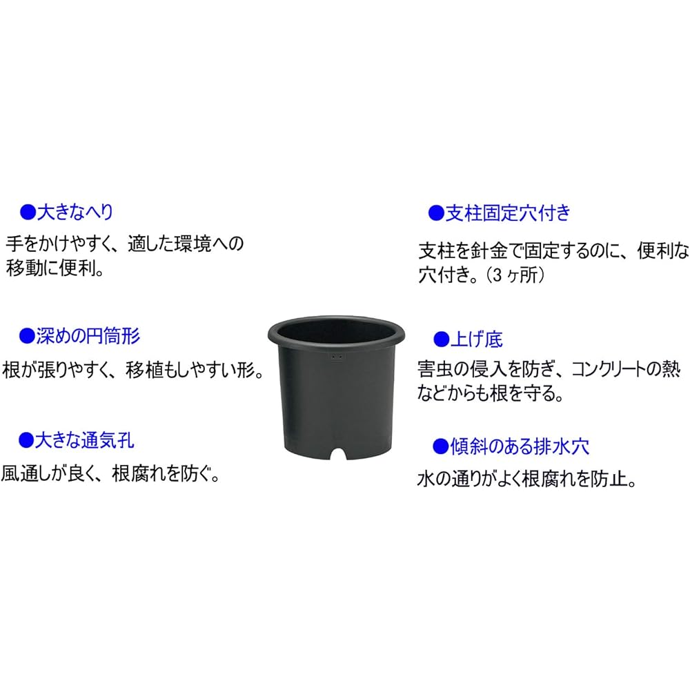 Richell Kikubachi No. 10 Black Set of 5 002038