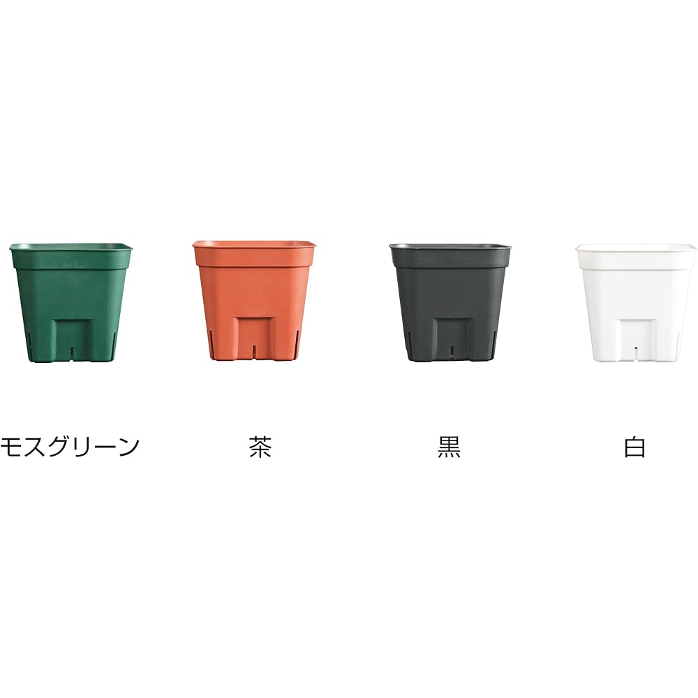 Japan Porihachi Hanbai Polypot Prestella 90 [1200 pots included] NI-106 Black 1200 pots