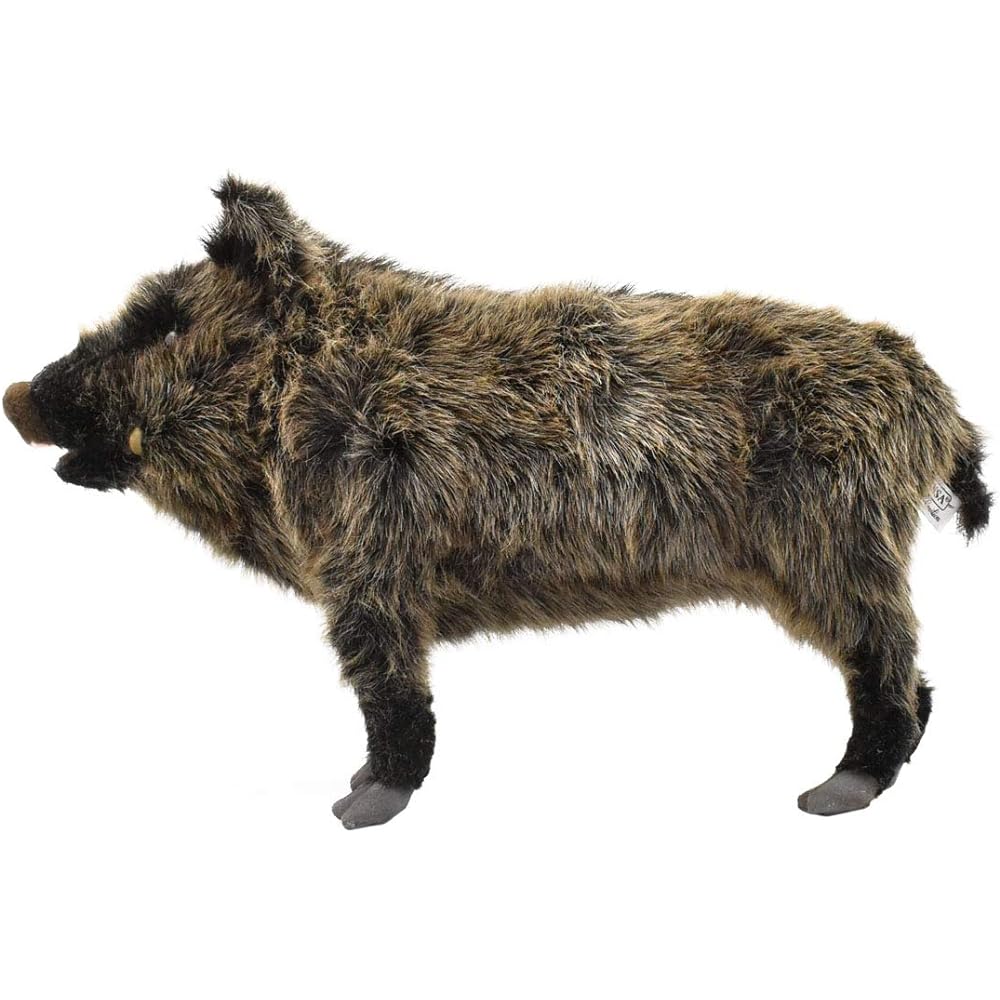 Canal BH4092 HANSA Boar 52
