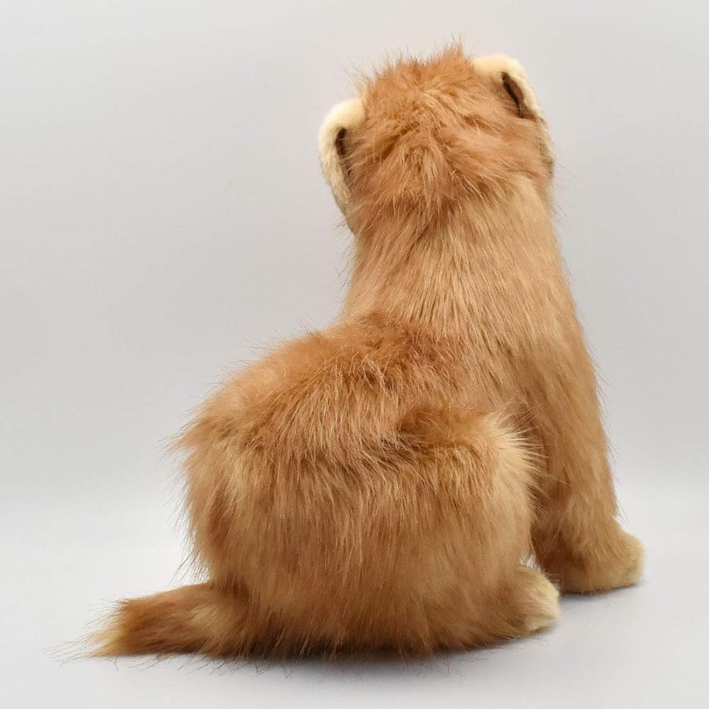 Norfolk Terrier No.3996