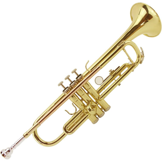 3 Color Trumpet Instrument in B Flat for Beginners