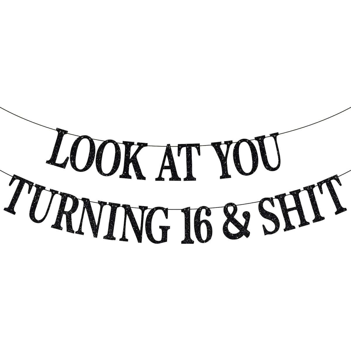 Happy 16th Birthday Banner Look at You Turning 16 and Sh*t Happy Sweet 16 16 & Fabulous Black Glitter 16th Birthday Party Decorations Backdrop Gift