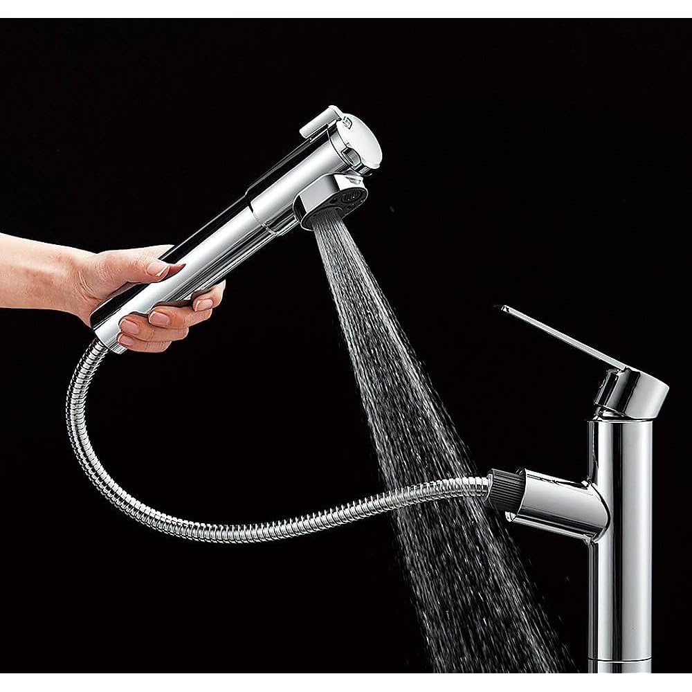 SANEI Kitchen One Hole Mixing Faucet with Water Purifier Spray Type Eco Saving K87580E1JV-13