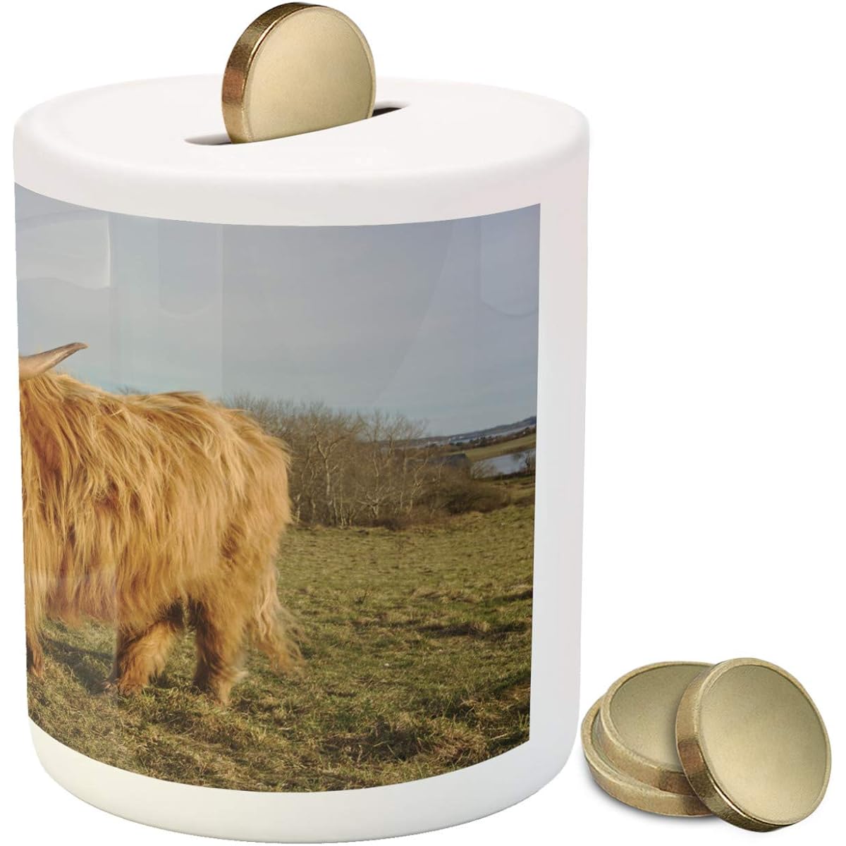 Lunarable Highland Cow Piggy Bank, Wide Angle Portrait Photo of Famous Hairy Scottish Farm Animals on Pasture, Ceramic Money Box for Savings, Multicolor