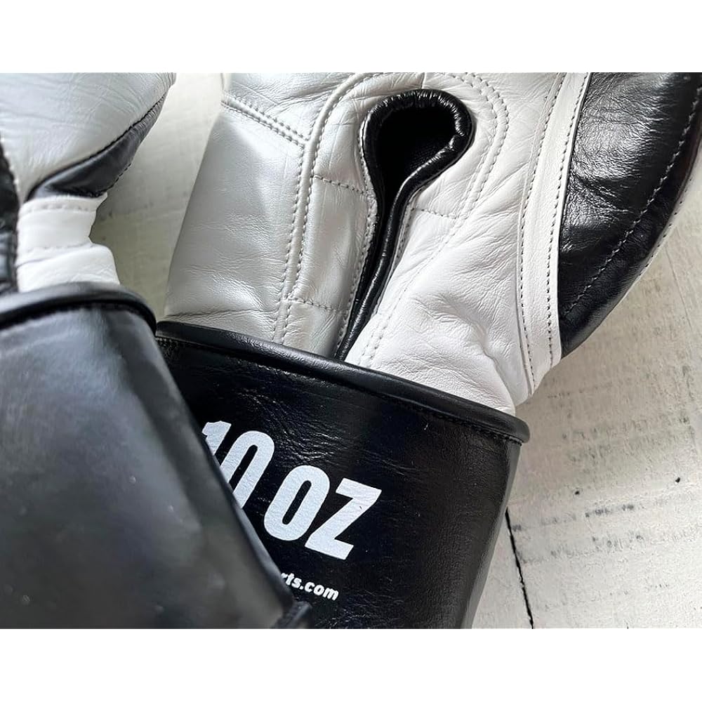 PRIZE RING Boxing Gloves “Professional SS” Black/Silver 10oz