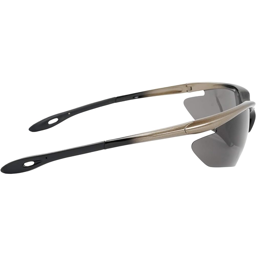 L-BALANCE EYES Polarized Sports Sunglasses LBP-419-2 Black & Silver/Polarized Smoke