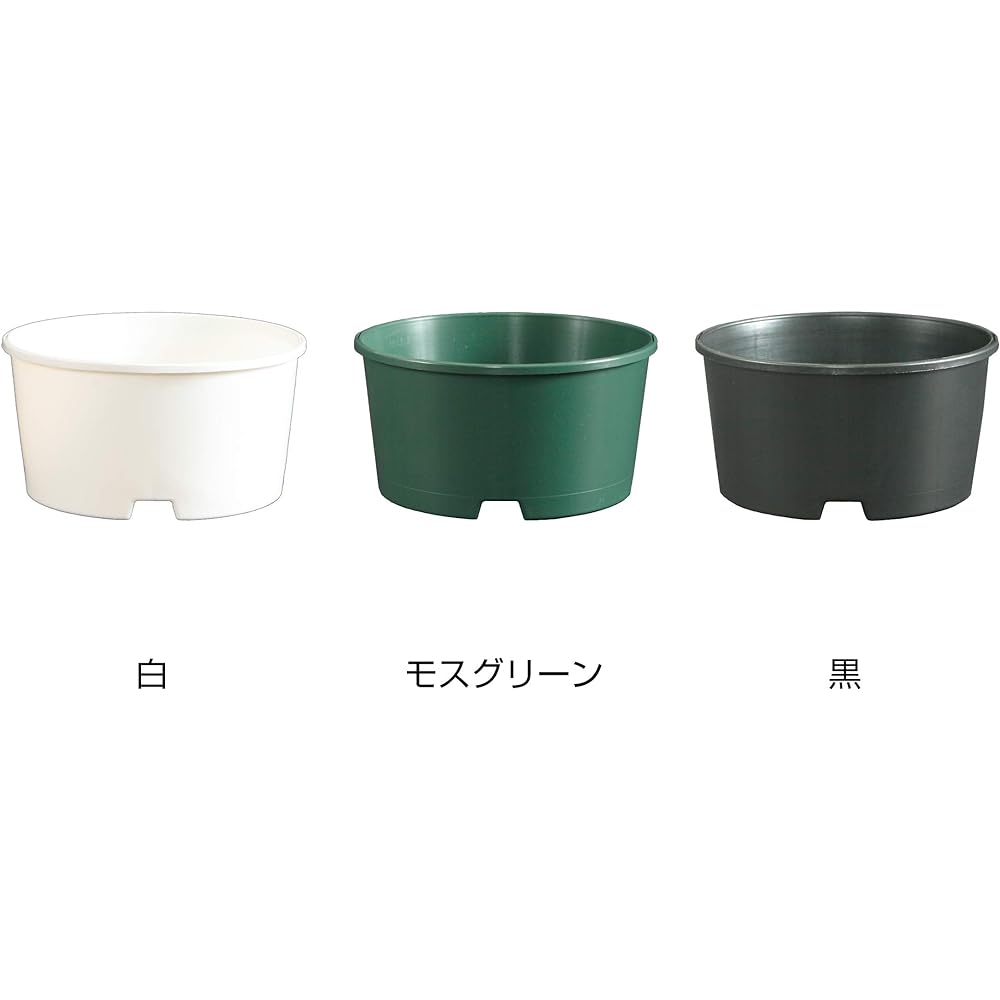 Japan Porihachi Hanbai Poly Pot Shallow Hard Pot Shallow LP-135S [570 Pots] NI-125 Moss Green 570 Pack