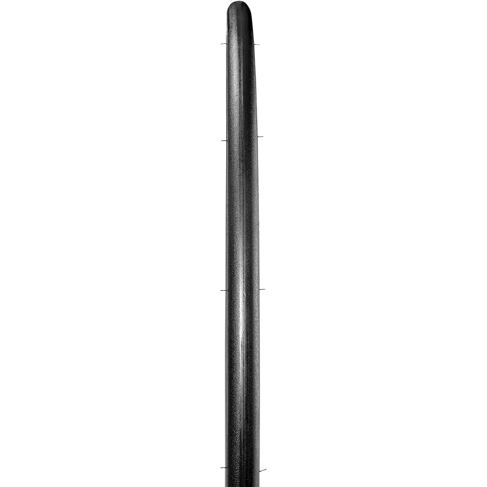 Set of 2 MICHELIN Dynamic Sport 700c (700×25c) [Parallel import goods]
