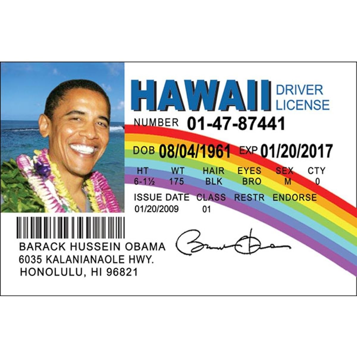 Signs 4 Fun NPID44H Obama Hawaii Driver's License
