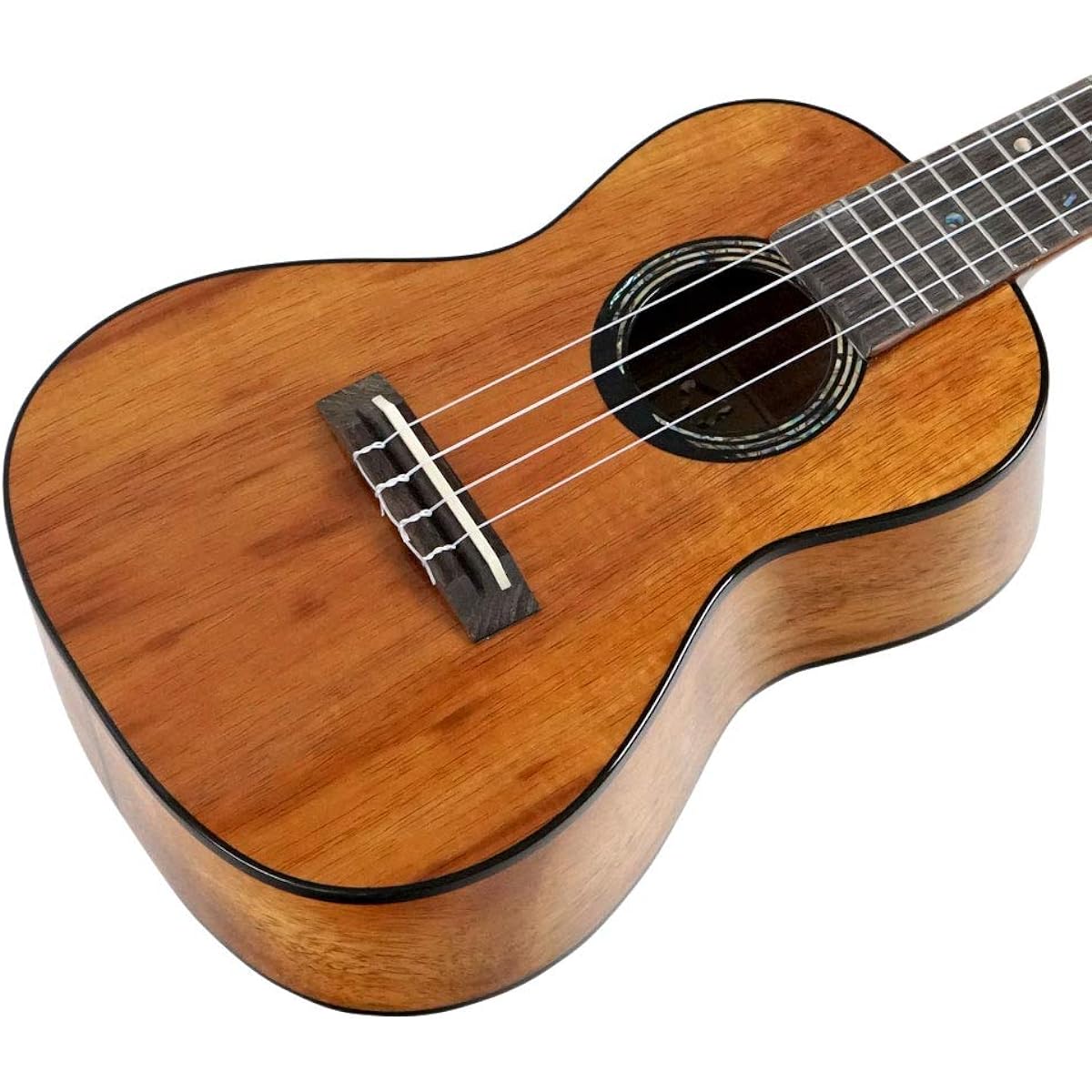 KUMU UKULELE CG55A Concert Ukulele High Gloss Specification Dedicated Gig Bag Included