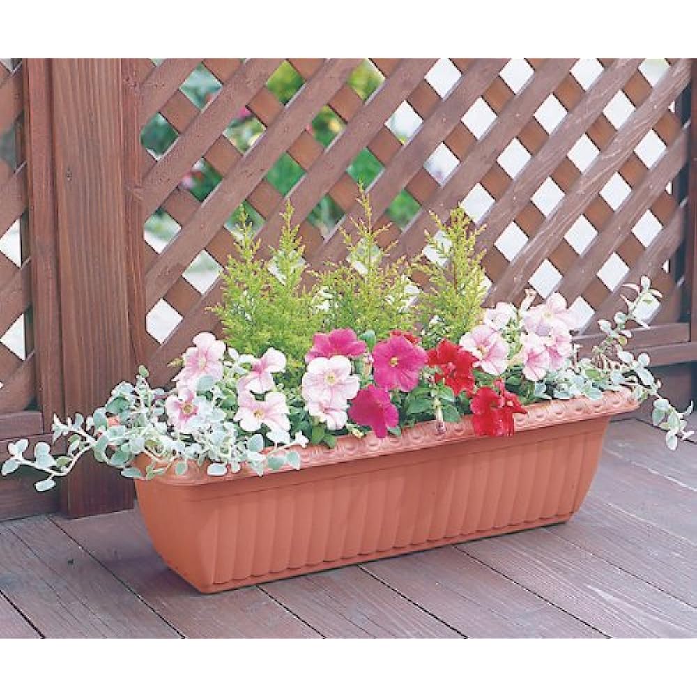 Iris Ohyama Relief Planter [Set of 20] Terracotta Brown