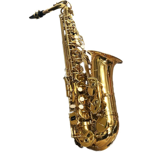 Alto Saxophone Beginner Set Saxophone Saxophone Wind Instrument Gold Engraved Special Case Included