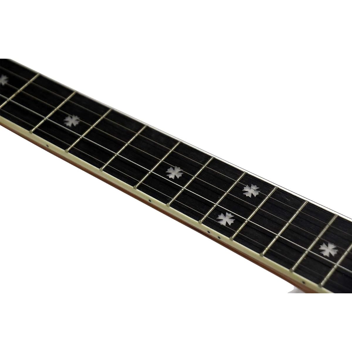 Blanton Resonator Banjo BB-15R