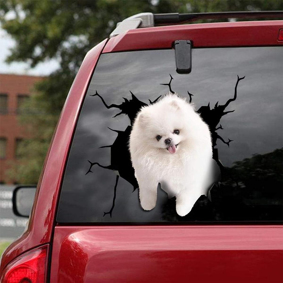 Ocean Gifts Pomeranian Car Decals Dog Car Stickers Set of 2 Realistic Pomeranian Stickers Car Window Wall Series 53 Sizes 12" x 12"