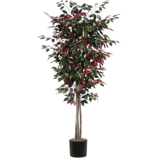 Vickerman TDX0360-07 Everyday Capencia Tree, 6ft, Green/Red