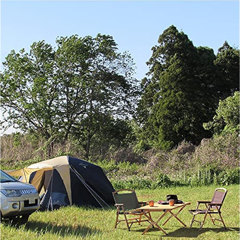 Curious One Touch Low Chair with Storage Bag Camping Outdoor LT-DB LT-OL (Dark Brown)