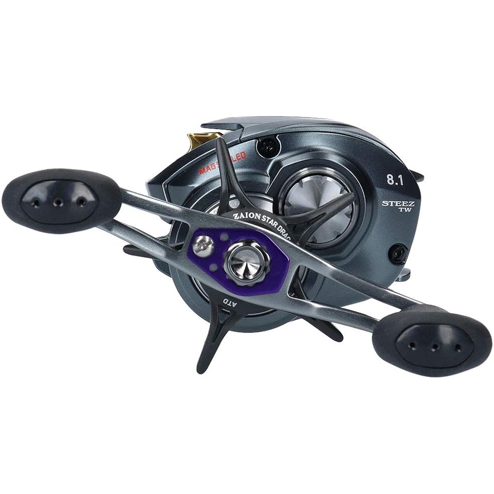 DAIWA Bait Reel 17 Steez A TW (Right/Left Handle) (2017 Model)