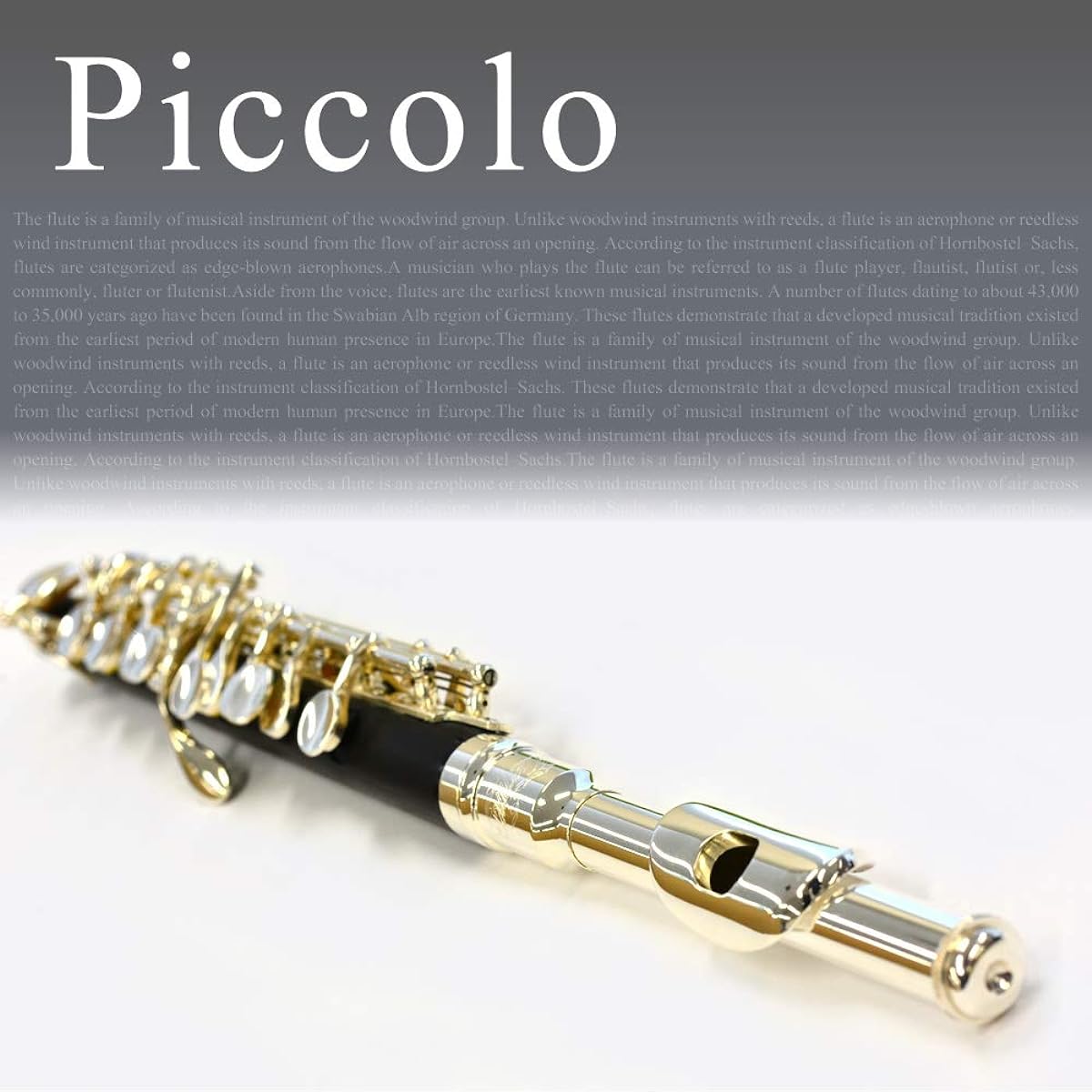 Soleil Piccolo SPC [Semi-hard case included]