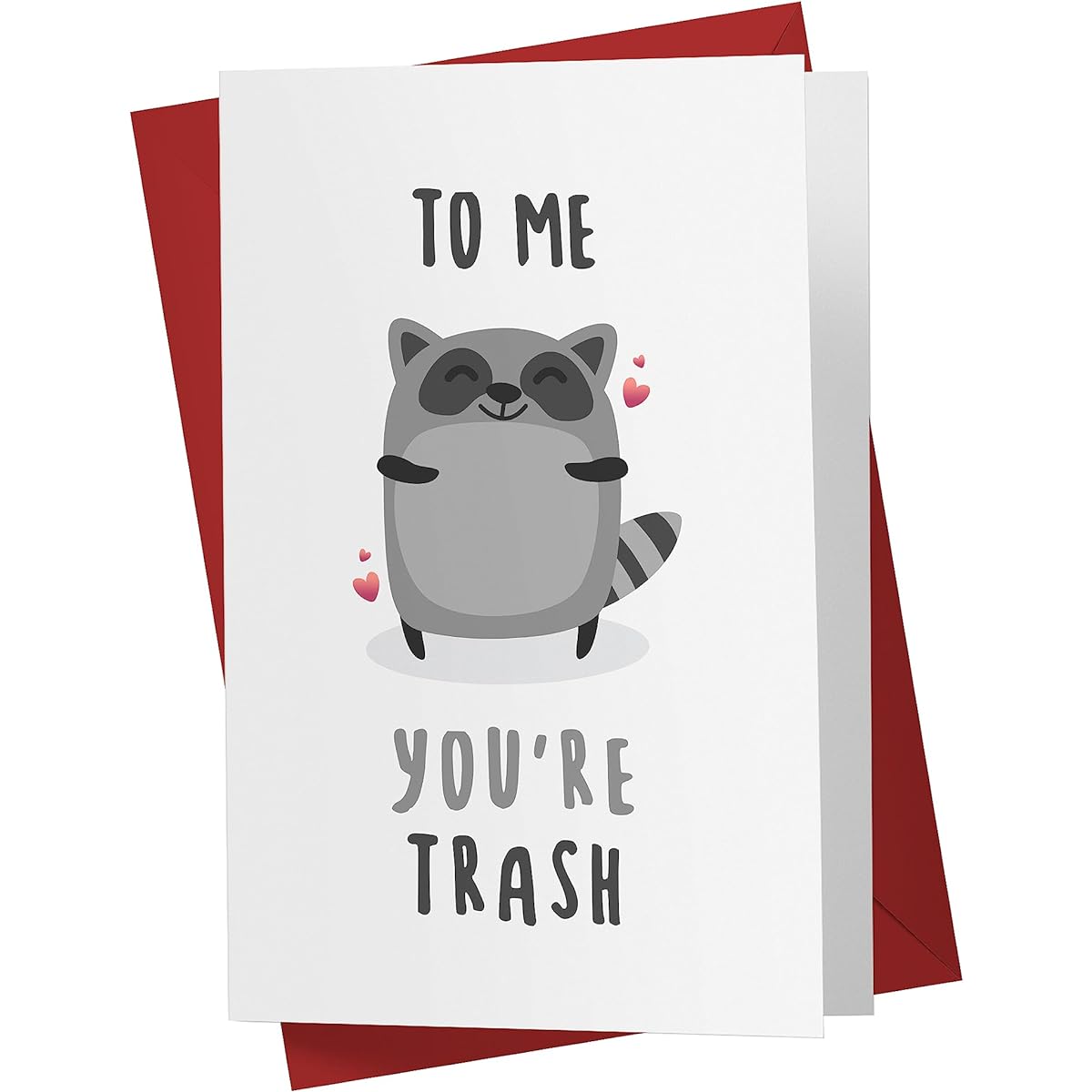 Karto Funny Birthday Cards for Men and Women, Large Size 5.5 x 8.5 Inch, Happy Birthday Cards, Birthday Card for Her, Birthday Card for Husband, Brother, Sister, Mom, Dad, Friend, Raccoon