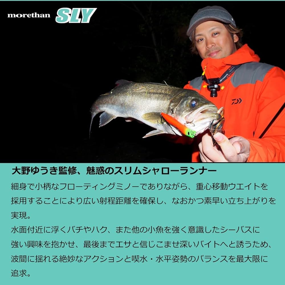 DAIWA More Than Sly 110F