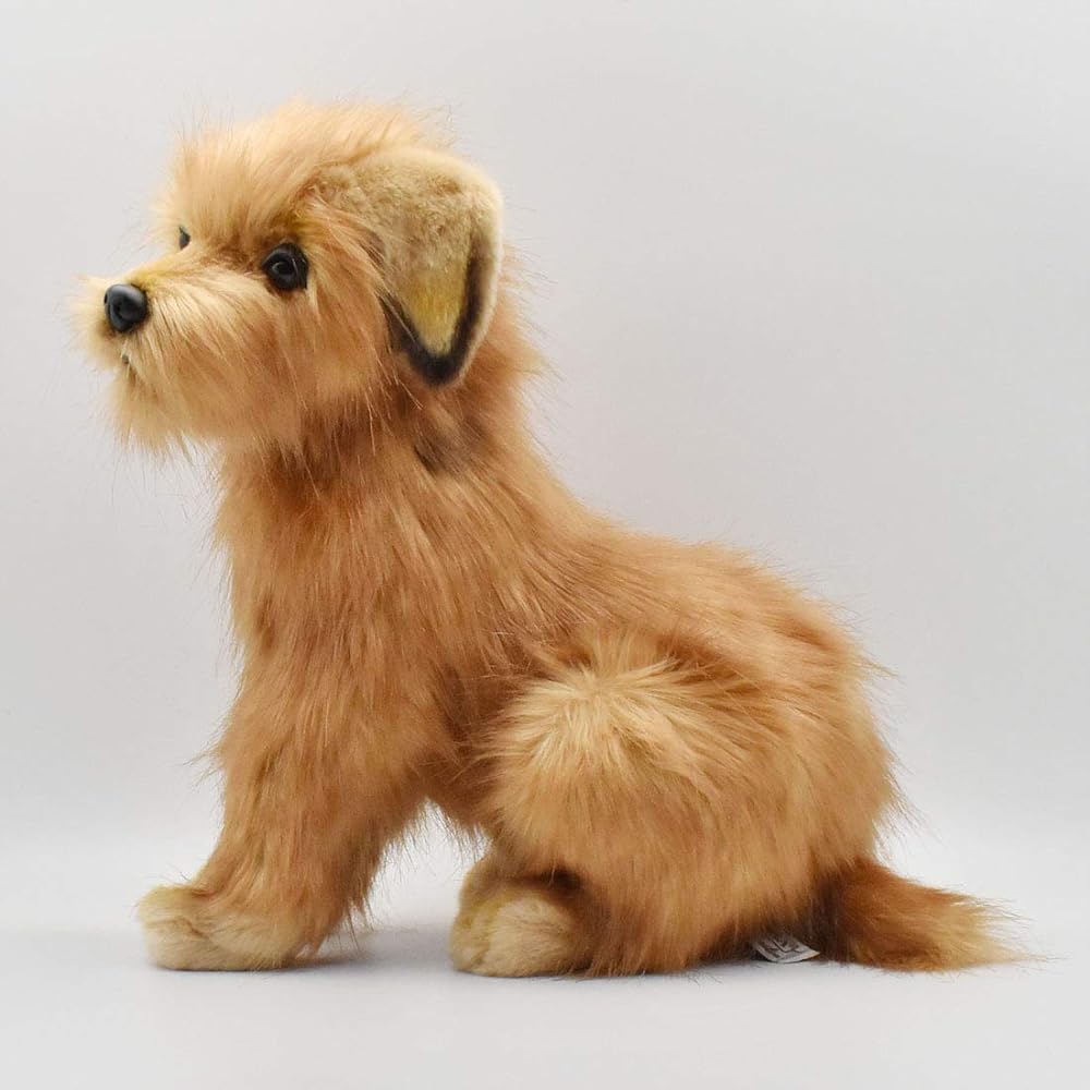 Norfolk Terrier No.3996