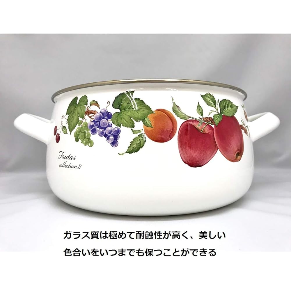 Fuji Enamel Two-Handed Pot 20cm Fruitus Collection 2 FTC-20W