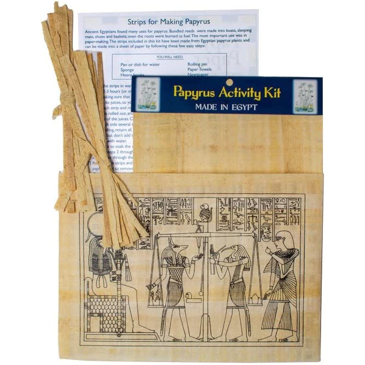 Papyrus Activity Kit Educational Papyrus Paper Craft Kit Made in Egypt