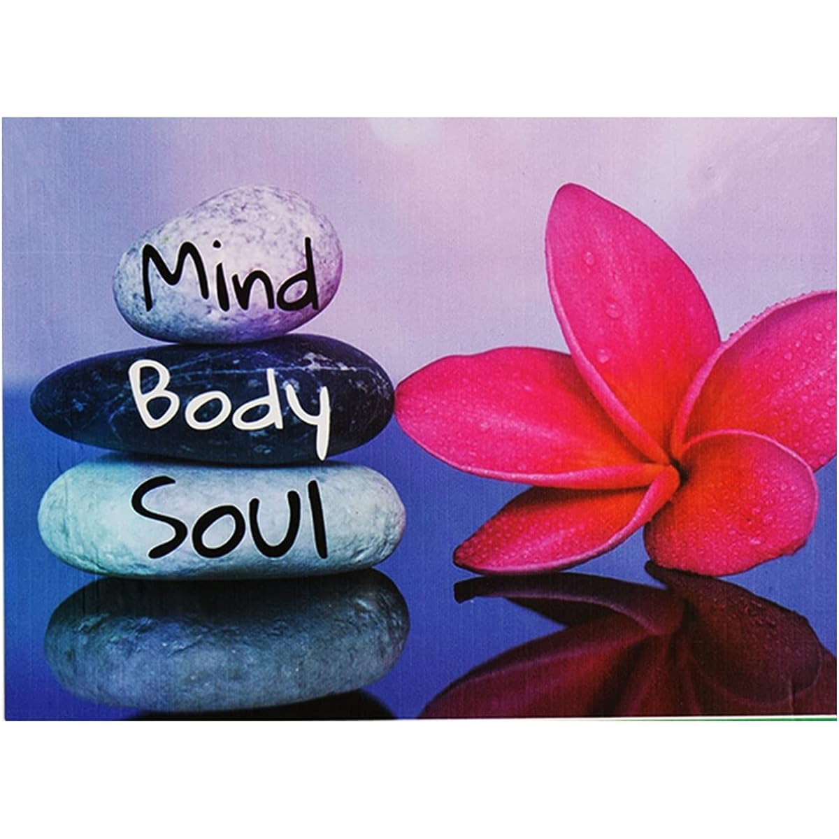 Mind Body Soul 1000 Piece Puzzle for Adults & Kids | 27 x 20 Inch Jigsaw Puzzle Game Extra Thick Easy Fit | Recycled Paper | Bonus Poster Included
