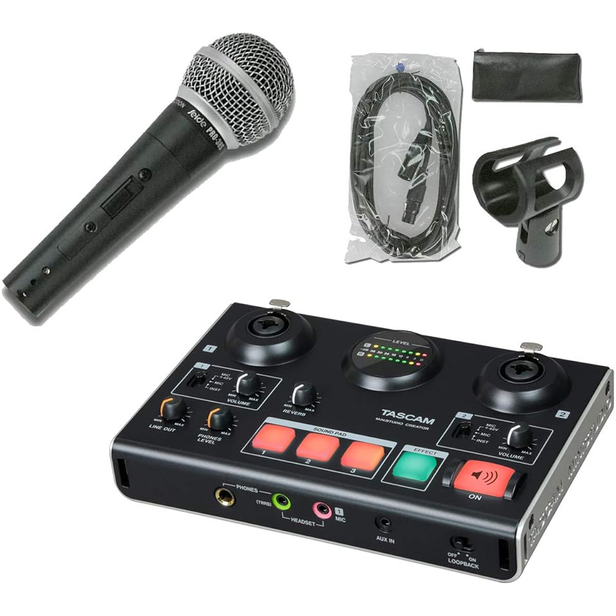 TASCAM US-42B audio interface + dynamic microphone (with built-in reverb effect)