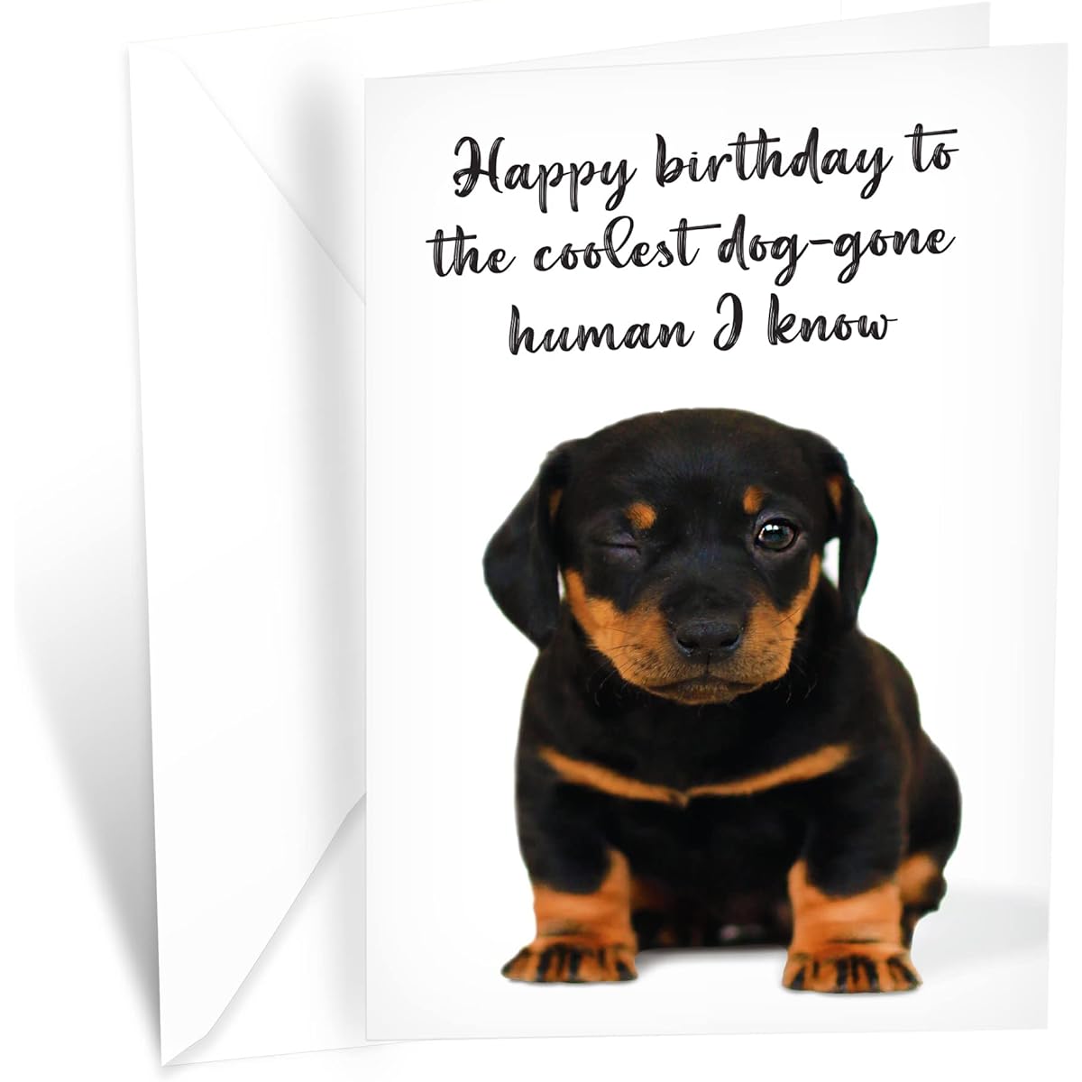 Prime Greetings Funny Dog Birthday Card Pun With Rottweiler, Made in America, Eco-Friendly, Thick Card Stock with Premium Envelope 5in x 7.75in, Packaged in Protective Mailer