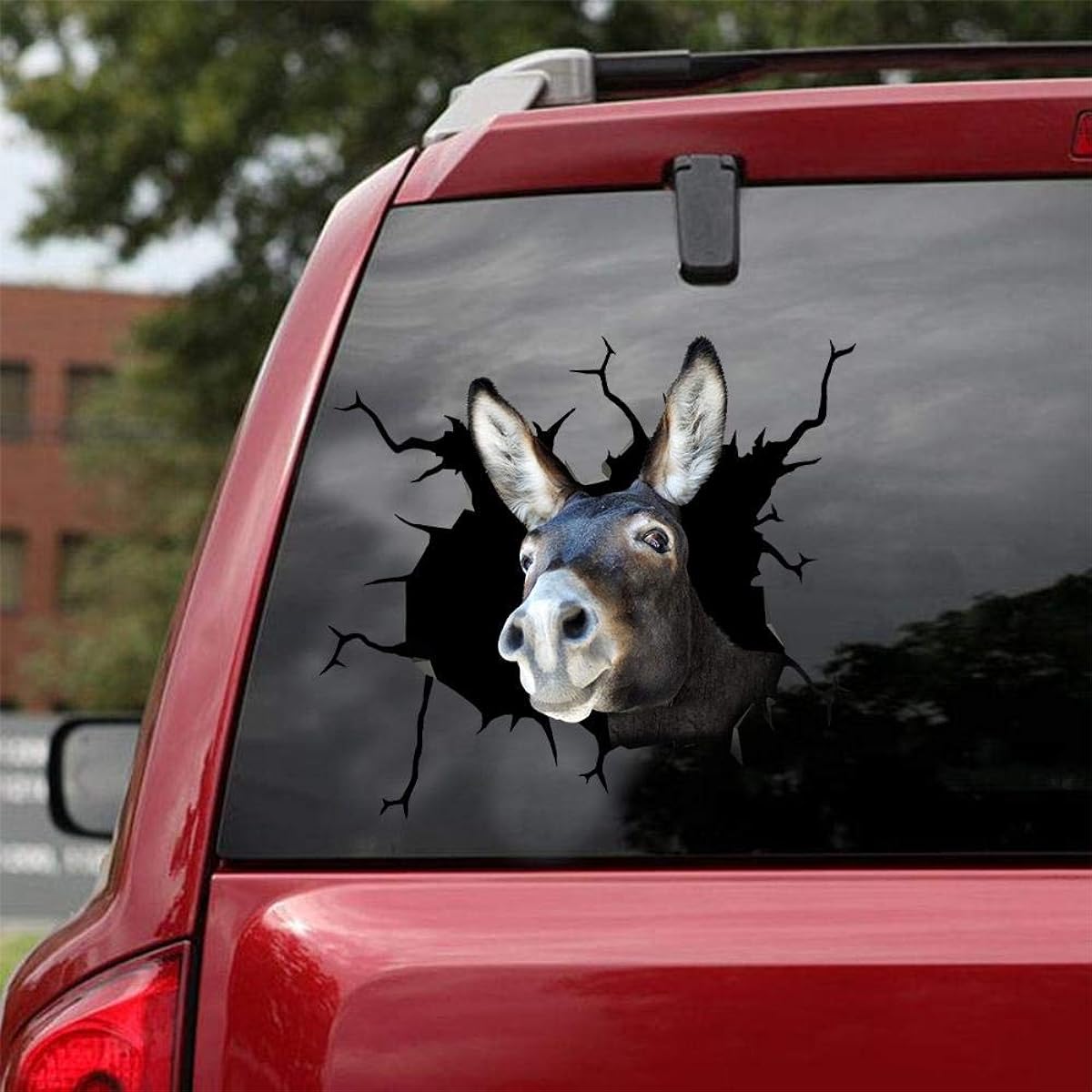 Ocean Gift Donkey Car Decal Wall Decal Sticker Set of 2 Realistic Car Sticker Design Series 10 Sizes 12" x 12"