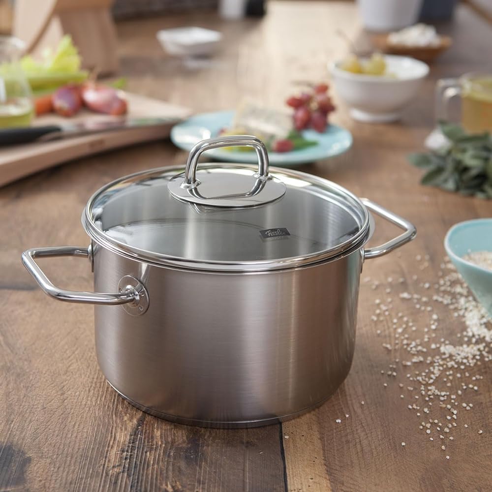 Fissler Double Handed Pot Stainless Steel 20cm Viseo Stew Pot with Glass Lid Gas Fire/IH Compatible Heat Resistant Waterless Cooking 084-117-20-001