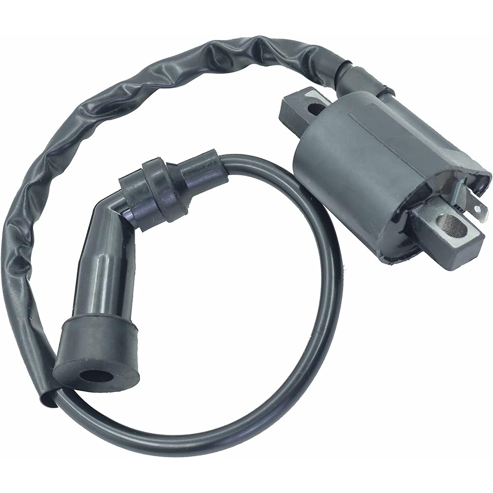 CDI Box Ignition Coil for Arctic Cat 300 2X4 4X4 1998-2005 for Arctic Cat 250 2X4 4X4 1999-2005 with Ignition Coil, Spark Plug and Starter Solenoid Relay