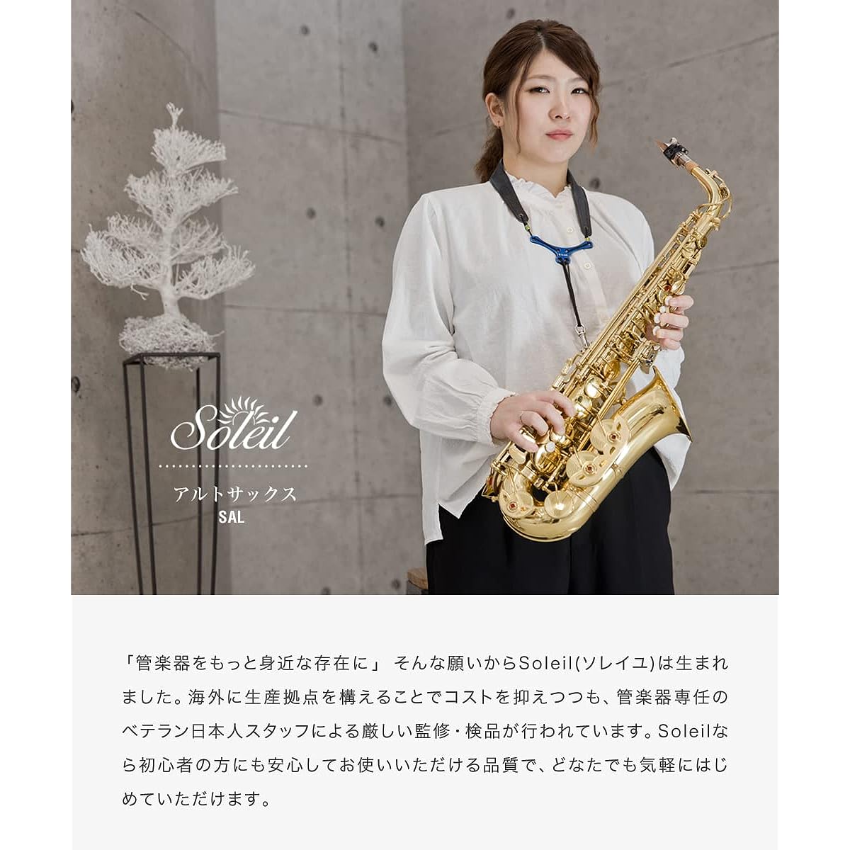 Soleil Alto Saxophone [E Flat] SAL-1/GD Gold
