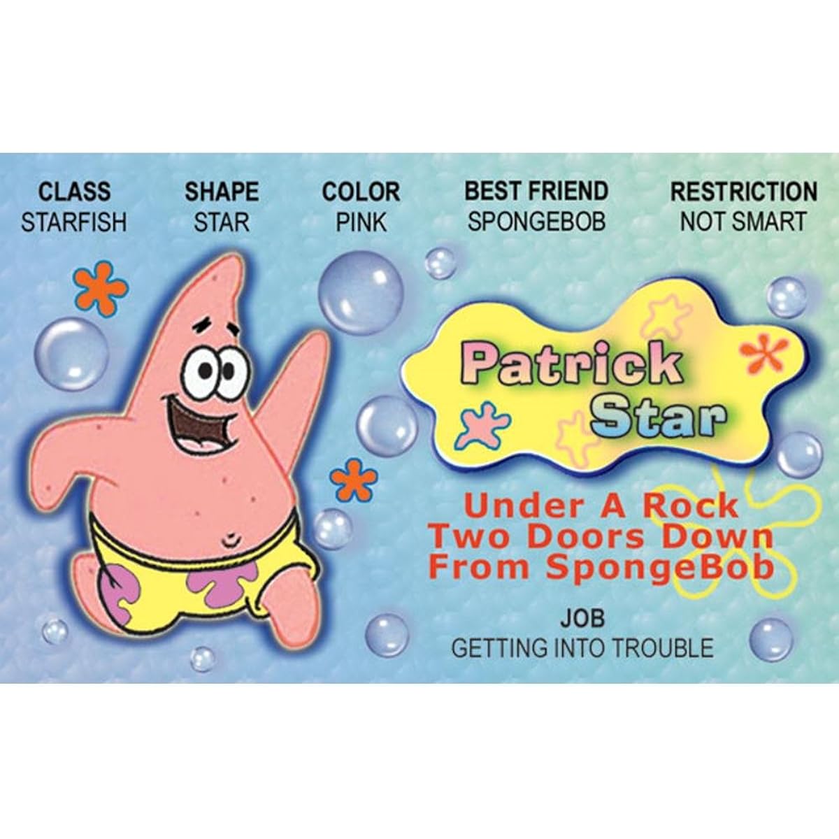 Sign 4 Fun NSBID5 Patrick Toons Driver's License