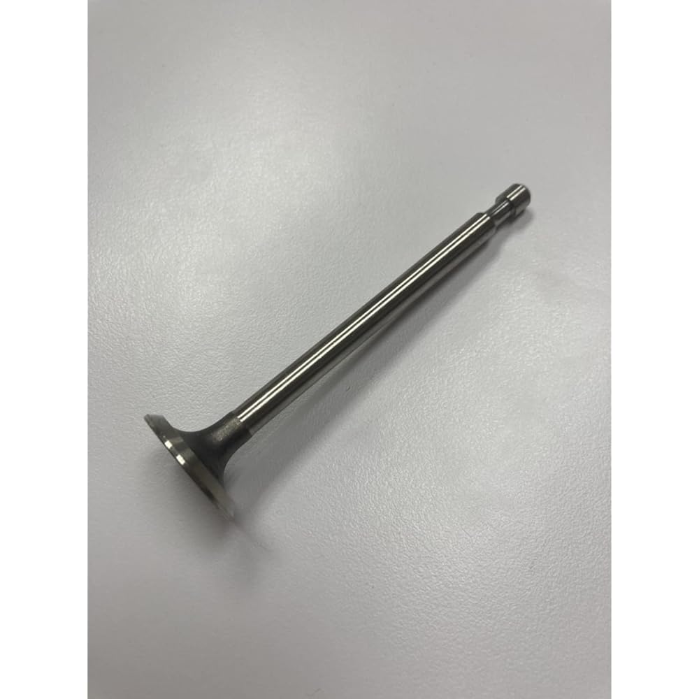 GardenPal Exhaust Valve, Valve EX B&S 5HP OEM 494191/260860/211119S Replacement