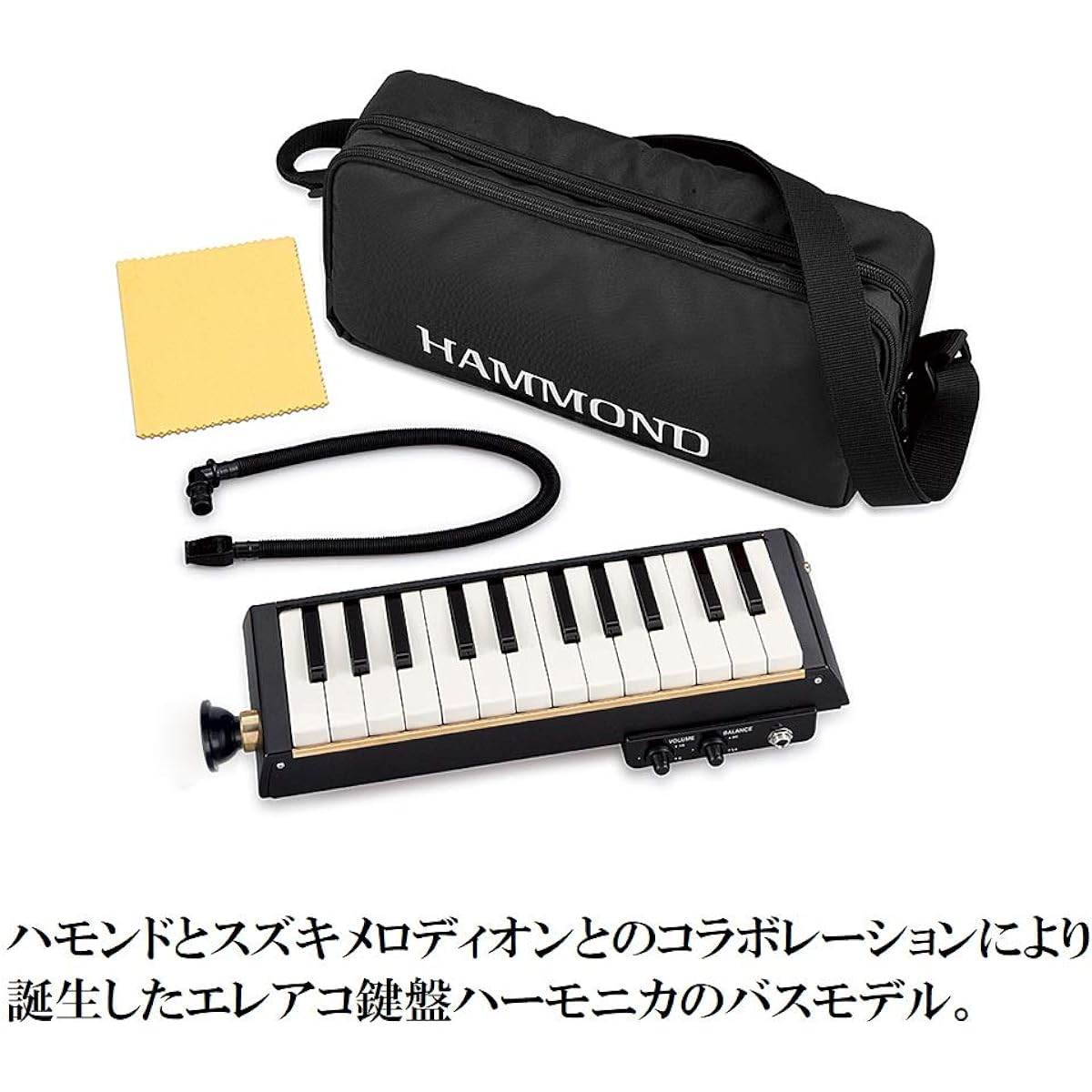HAMMOND Hammond PRO-24B Keyboard Harmonica Electric Acoustic Bass Model