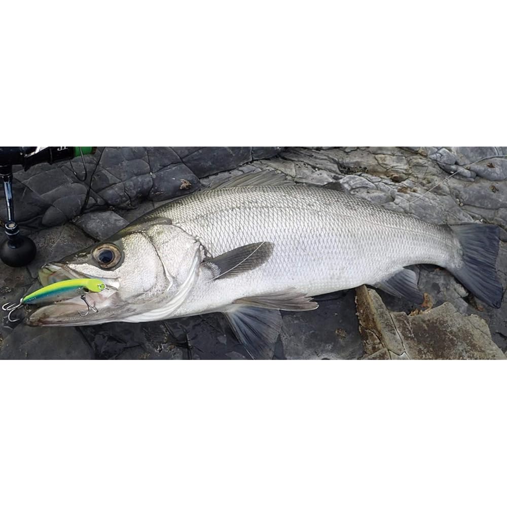 SHIMANO Seabass Lure Minnow Exsense Goliath High 95F Jet Boost XL-195Q