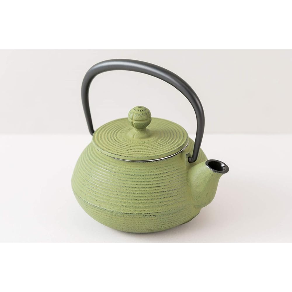 Iwachu Teapot 3 Type Wire Drawn Wakakusa 0.32L Enamel Inside Nambu Ironware 12463