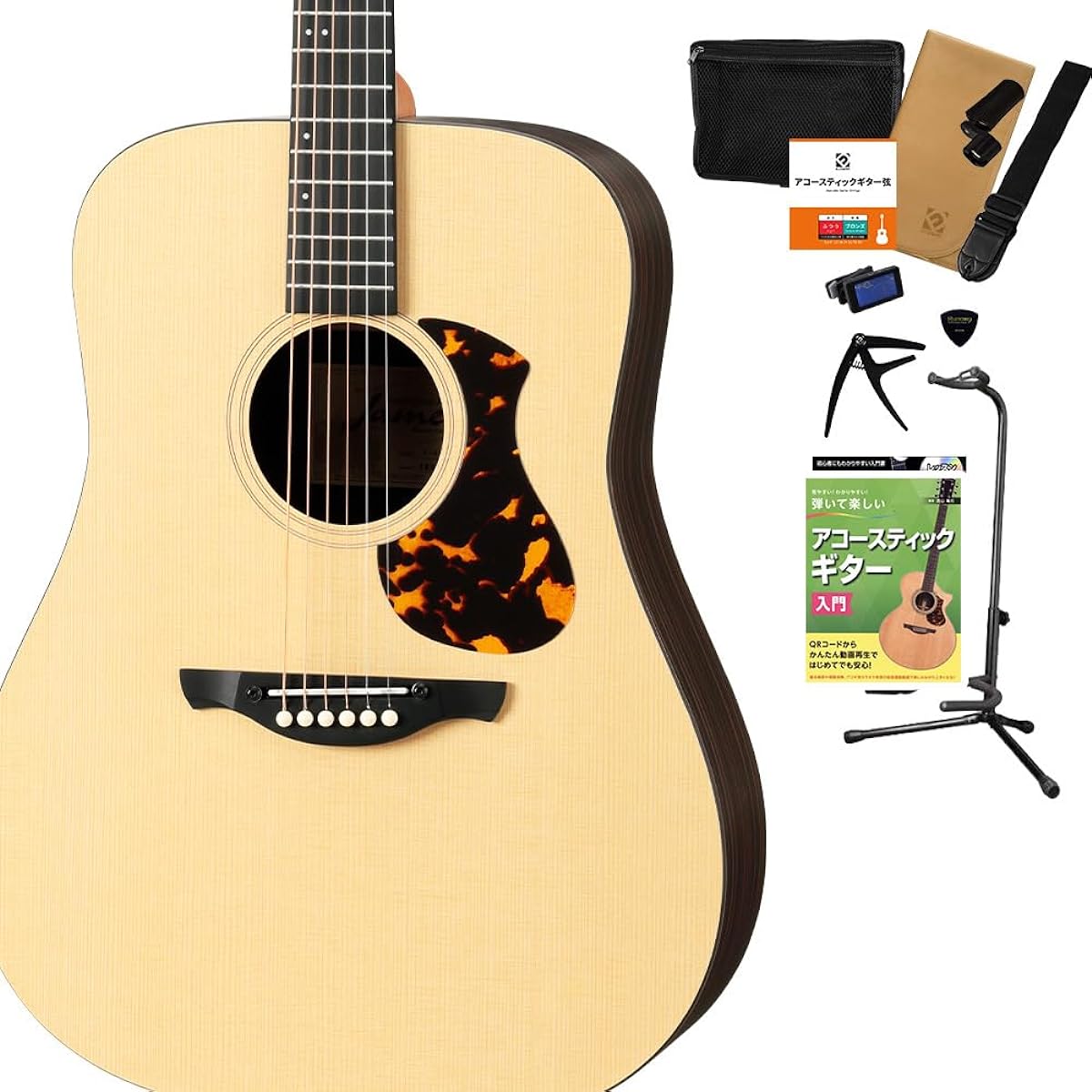 James J-1D Acoustic Guitar, 12-piece Select Set with Textbook, Beginner Set, Adjustable Saddle, Easy String Height Adjustment, Dreadnought, James