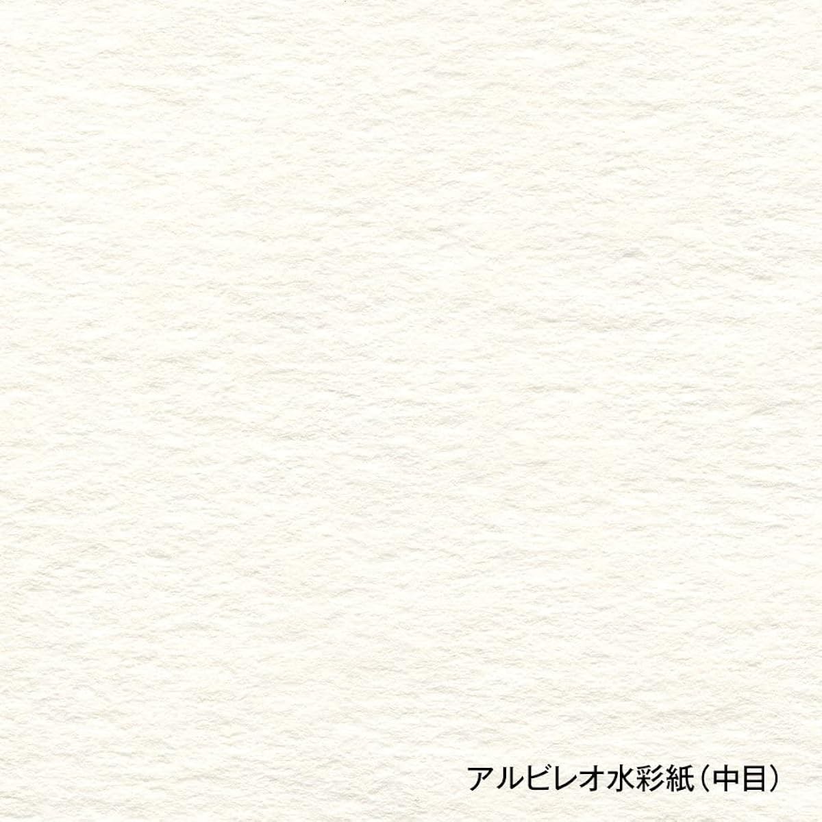 Holbein Albireo watercolor paper, medium, 218g, roll, 1400mm x 10m, 251311