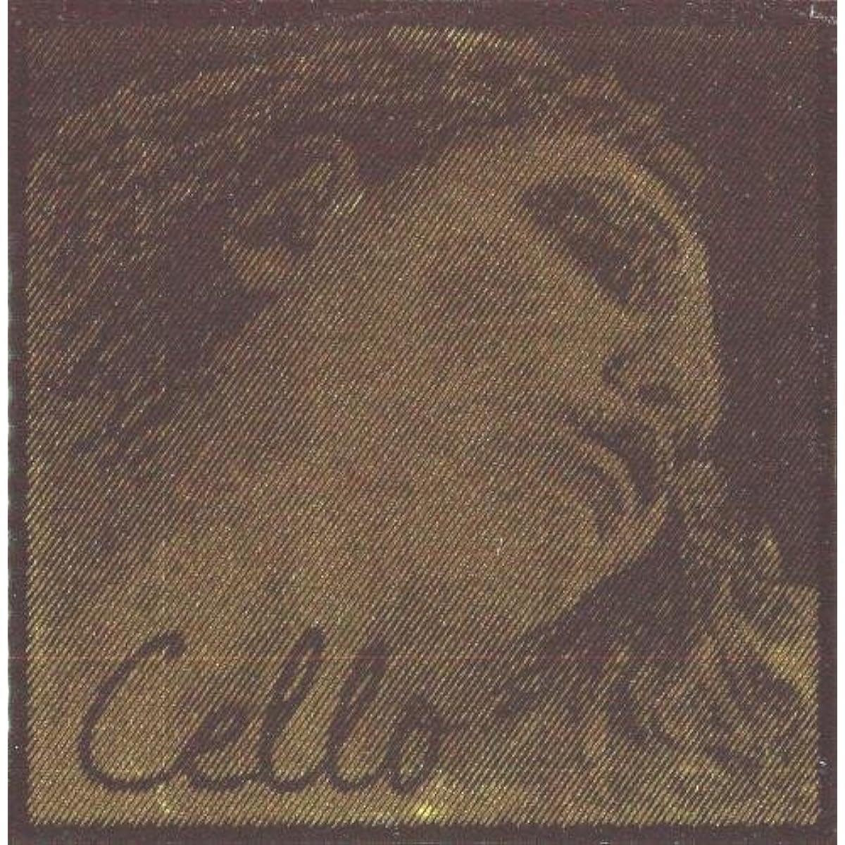 Cello string EVAH PIRAZZI GOLD G string Eva Pirazzi Gold G string