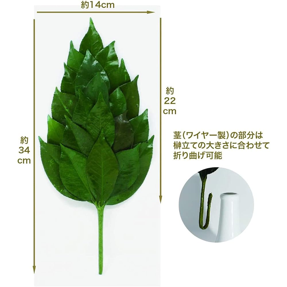 A&K Premium Sakaki Preserved (M size camellia leaf enlarged version / 1 pair / approx. height 34cm x width 14cm) Uses high quality camellia leaves from Tanba Shinto altar for offerings Sakaki
