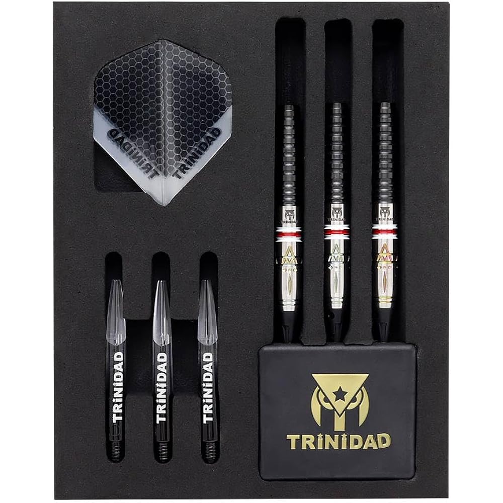 TRiNiDAD×TIGA Trinidad×TIGA GOMECHU2 2BA Yuki Yamada x Yukie Sakaguchi collaboration model dart barrel dart set