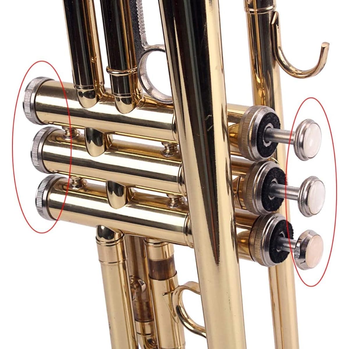 TUOREN Trumpet Valve Repair Kit with Finger Button, Connecting Rod, Valve Cap, Piston Guide, Spring Felt Washer, Water Key Spit Valve Assembly, Set of 39, Gold