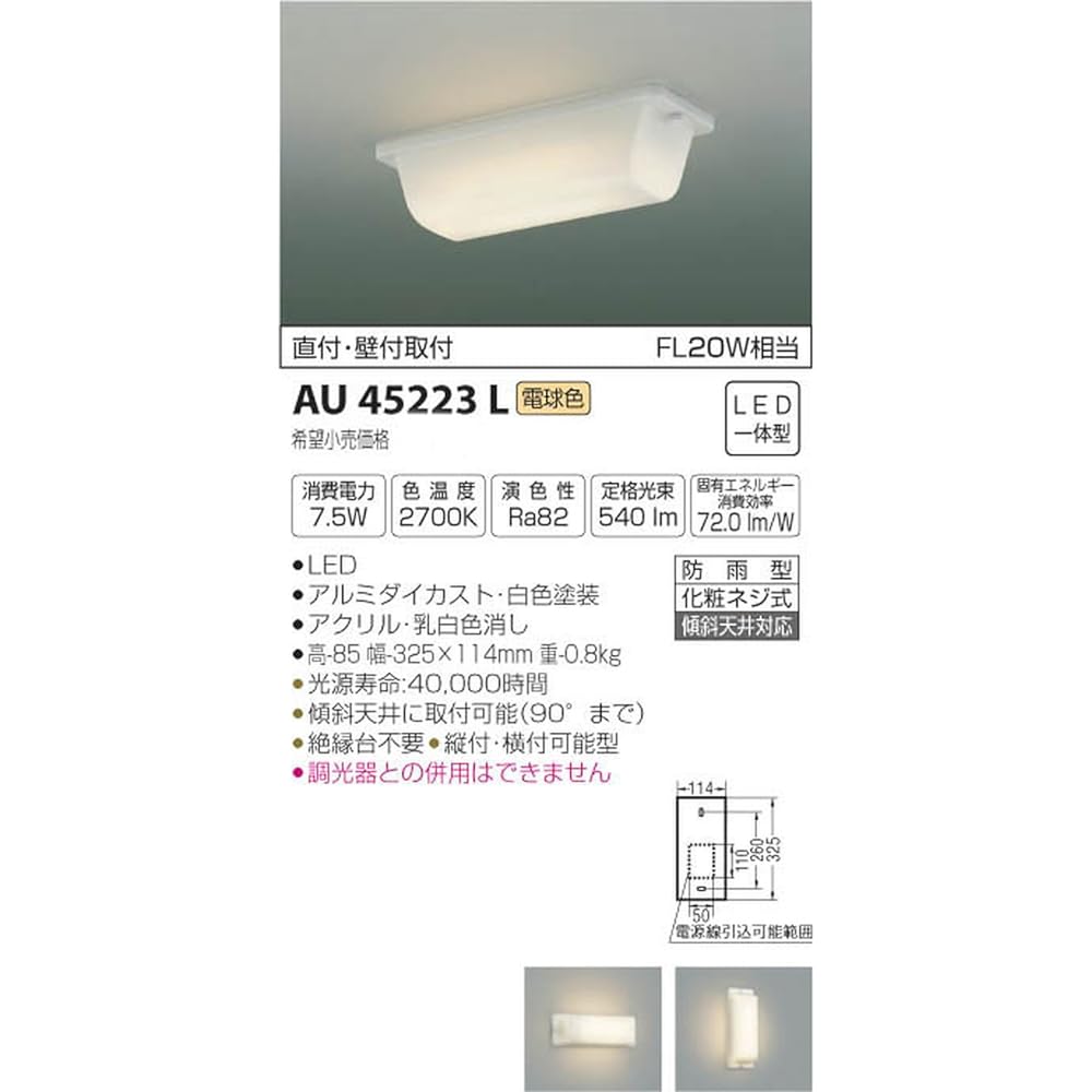 Koizumi Lighting Back Door Light Direct Mount/Wall Mount Light Bulb Color AU45223L