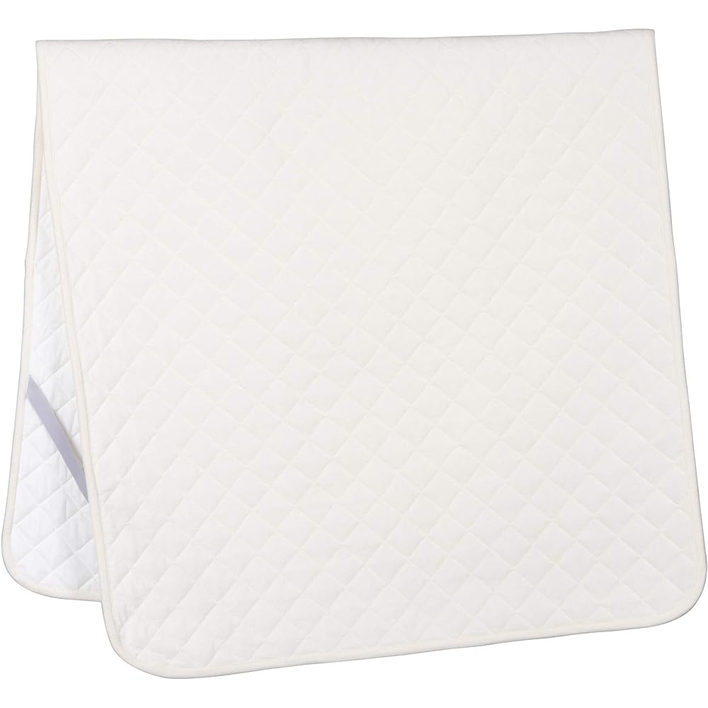 nishikawa [Nishikawa] Queen bed pad, 100% cotton, fluffy pile, heavy duty rubber, can be used all year round, made in Japan, beige CM30850008BE