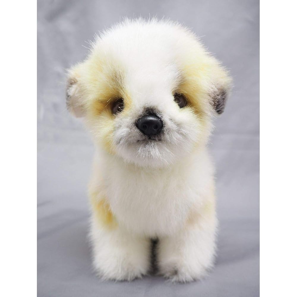 Sanei Boeki Original Plush Graceful (Made in Japan) Half Dog Chihuahua (Chihuahua x Maltese) W11.5 x D20 x H22cm Dog I-5350