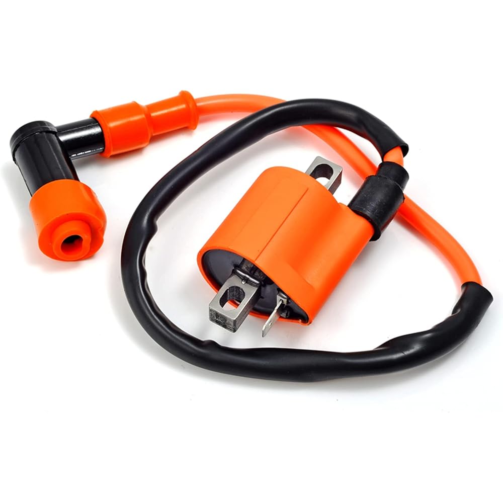 MOTO1988 Ignition Coil Igniter CDI Regulator Wiring Harness Assembly Compatible with Yamaha Blaster 200 YFS200 1997-2001 OEM 3JM-82590-10-00