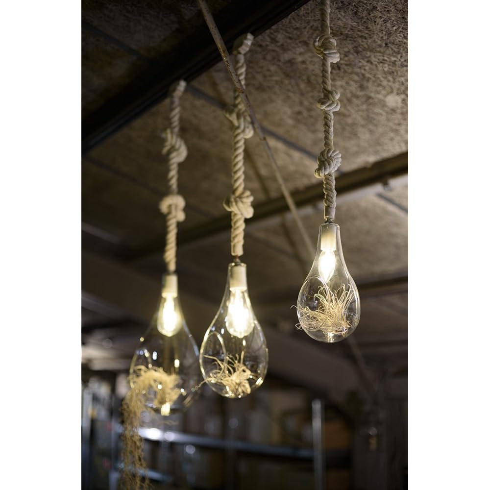 Botanic hanging light S
